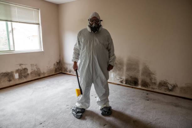 Best Industrial Mold Remediation in Tara Hills, CA